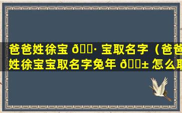 爸爸姓徐宝 🌷 宝取名字（爸爸姓徐宝宝取名字兔年 🐱 怎么取）